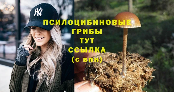 COCAINE Алзамай
