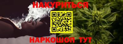 прущие грибы Нальчик