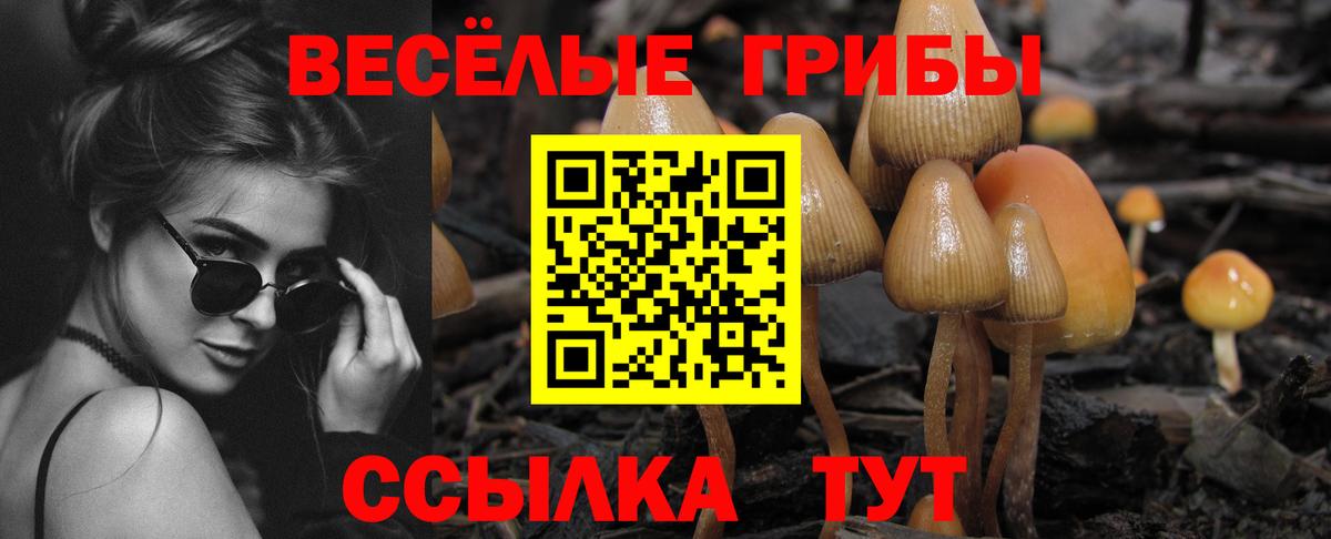 Галлюциногенные грибы мухоморы Глазов